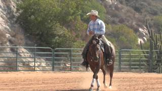 Riding With Your Body by Richard Winters