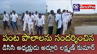 పంట పొలాలను సందర్శించిన డిసిసి అధ్యక్షుడు అడ్లూరి లక్ష్మణ్ కుమార్ || @DigitalNewsTelanganaTv