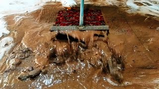 You don't know that only an iron scraper can clean sticky mud from the carpet