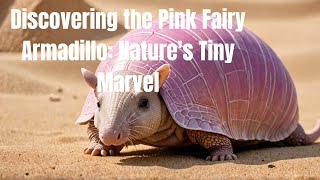 Discovering the Pink Fairy Armadillo  Nature's Tiny Marvel