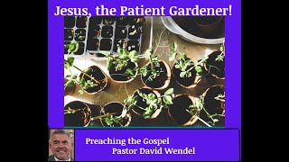 "Jesus, the Patient Gardener!"