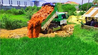 New Project!Pouring By 5TDump Truck Filling Land Field,Skill Bulldozer D20P Pushing Soil Perfectly