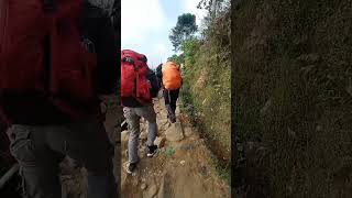 Gagal muncak di pendakian gunung gede pangrango...#part 2 #maindialam #youtubeshorts