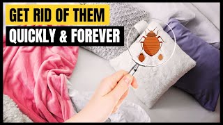 How To Get Rid Of Bed Bugs Fast And Permanently?