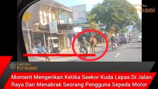 MENGERIKAN KETIKA SEEKOR KUDA LEPAS DI JALAN DAN MENABRAK PEMOTOR YANG LEWAT 😰