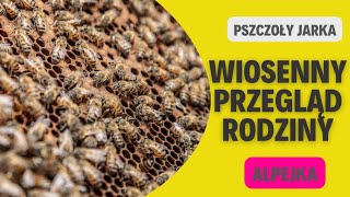 Przegląd Rodziny Pszczelej #car.alpejka