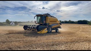 🌾 ŻNIWA PSZENICY 2022 🌾  NEW HOLLAND TC.5.90 VS PSZENICA