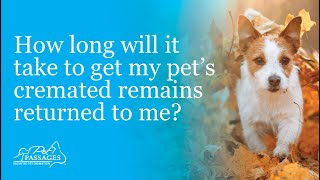 How long will it take to get my pet's cremated remains returned to me?