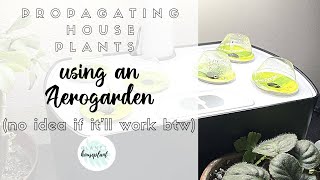 Setting Up My Propagation Box, Then Starting Again and Using Aerogarden As A Prop Box Instead