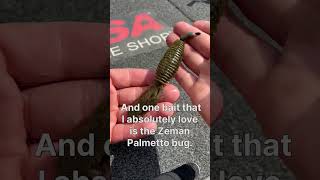 The BEST Spring Time Bass Fishing Bait!