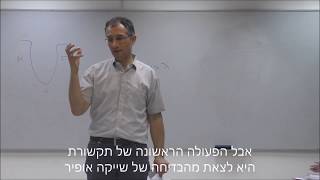 לשכפל תקשורת  - מכון פתרונות