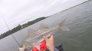 After storm Bay Fishing