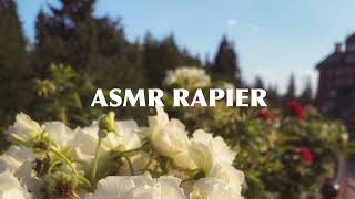 Прямая трансляция пользователя ASMR Rapier