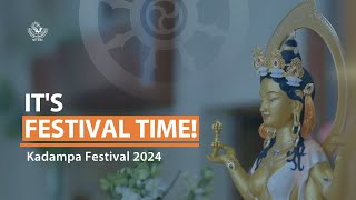 IT'S FESTIVAL TIME!