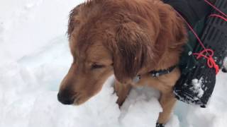 Source Lake Snow Shoe Hike