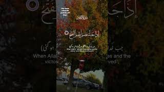 Surahalnasr with Urdu English Translation Quran Talawat @africangreydailylife