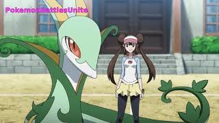 Serperior Vs Stoutland