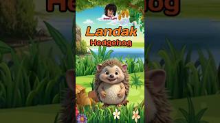 Belajar Mengenal Binatang Landak - Hedgehog 🦔 #shorts