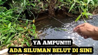 MENEBARKAN MANCING BELUT PENUH DENGAN TANTANGAN #mancingbelutbabon