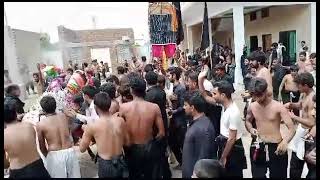 11.5  ashura jaloos matam dari and zanjer zani 10 muharam 2023