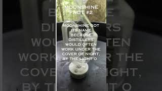 Moonshine facts