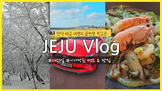 만삭 태교여행 제주도 vlog │기가막힌 명소 │무조건 가봐야하는 맛집