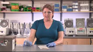 Making an Agarose Gel