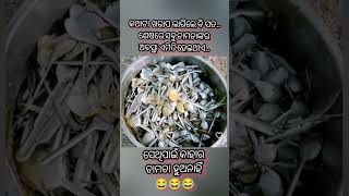 Just Chill 🤣🤣 #funnycomedy #viral #shortsfeed #odiarost #odianews