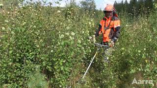 Aarre 2021 | Kokeilussa Husqvarna 535iFR -akkuraivaussaha