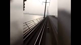 Dog running for life over 5 kms on  Bangabandhu Bridge - Bangladesh