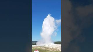 Explosive Geysers of Yellowstone National Park, Wyoming USA #bison #oldfaithful #geyser #nature