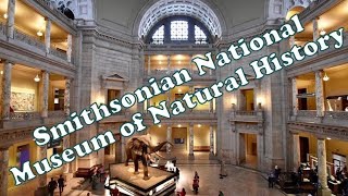 Visiting the Smithsonian National Museum of Natural History