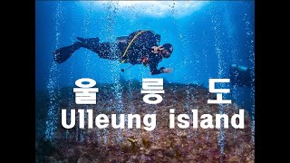 2020 여름 울릉도 다이빙 Ulleung island diving #울릉도#울릉도다이빙