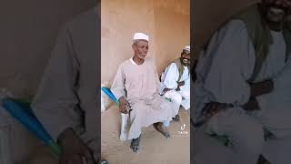 زول سوداني فكاهي