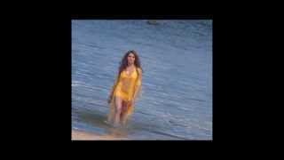 Bipasha Basu Hot Bikini in Humshakals : Watch Video Gallery