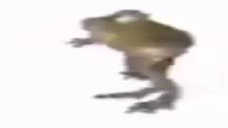 Frog Dancing in 4K