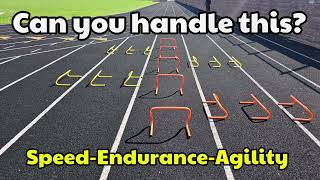 Speed - Endurance - Agility