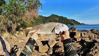 Essa envergou bonito, 4 pontos de pesca em Ubatuba, pesca de praia e costeira.