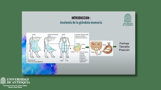 CREPI - Asociación características anatómicas de los pezones con el recuento de células somáticas