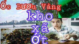 HQC VLog | Ra Đồng Bắt Ốc Bươu Vàng Về Làm Bữa Cơm chiều