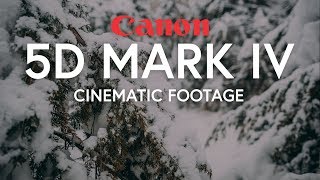 5D Mark IV Cinematic Footage | Ronin S