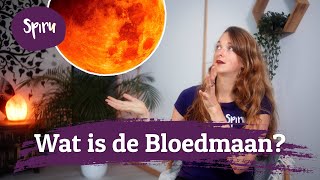 #114 De Bloedmaan Uitgelegd | Ken jij de Kracht van dit Spektakel?