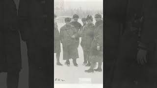 Polar Bear Expedition #shorts #war #music #history