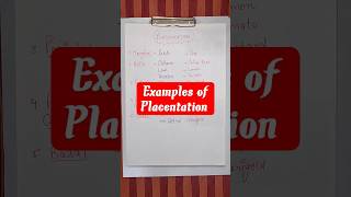 Placentation Example Tricks|Morphology of flowering plants ☘️ #shorts #ytshort #neet