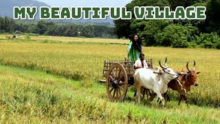 Village vlog || Let me show you my beautiful  Village || Village peace