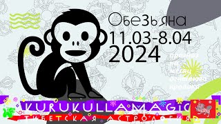 Прогноз для обезьян на месяц огненного кролика с 11 марта по 8 апреля.