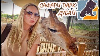 🐾 АФРИКАНСКОЕ САФАРИ в Дубае 🐾| SAFARI PARK | Зоопарк Дубая. Куда сходить в Дубае с детьми