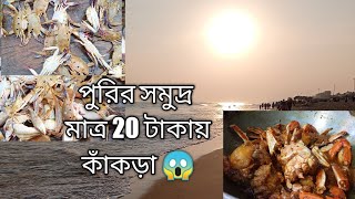 সমুদ্রে এসে মাত্র 20 টাকায় কাঁকড়া/ঘুরতে গিয়ে হোটেলে ঝটপট রান্নার রেসিপি।Crab recipe #puri