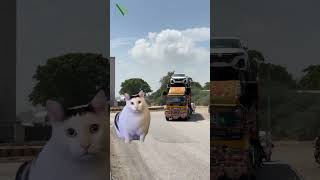 Car carrier service all over Pakistan.✅️ #greenscreen #carrier #service #cat #voice