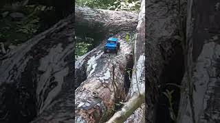 (Reupload)Scx24 Gladiator on RCAWD portals crawling around at the river with the trail dogs. Part 1